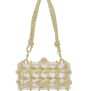 Crystal Chain & Clear Hardcase Clutch